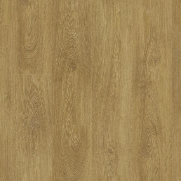 SF003-4V-European-Oak-歐洲橡木-1024x1024.jpg