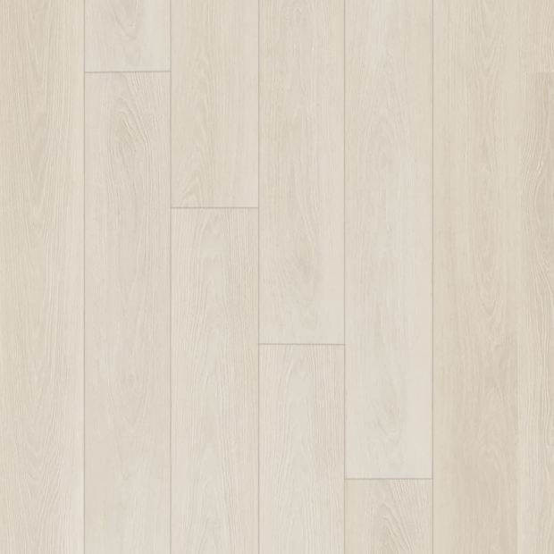 SF005-4V-Silky-Oak-絲綢橡木.jpg