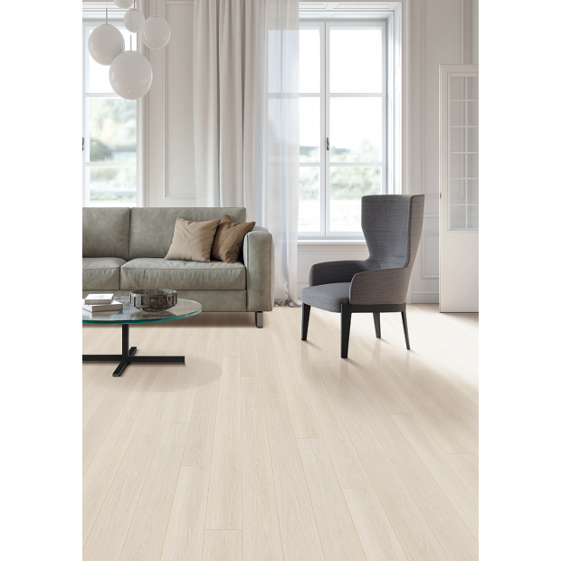 SF005-SILKY-OAK.png