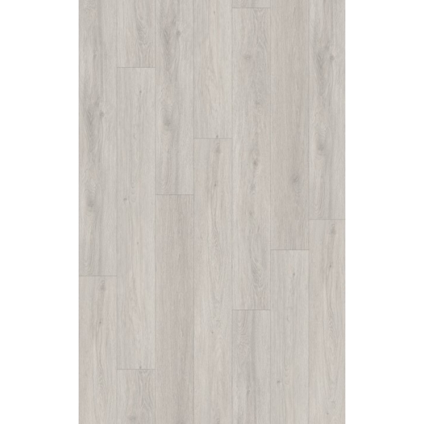 PKD7503-格魯特.jpg