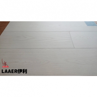 8m-LAAER伊利