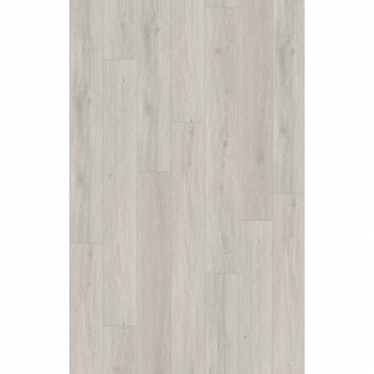 PKD7503-格魯特.jpg PKD7503-格魯特.jpg